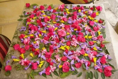פאזל של tapis en fleurs