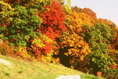 פאזל של automne