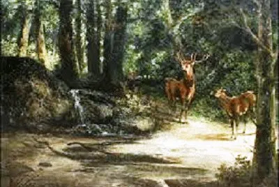 170 jigsaw puzzle