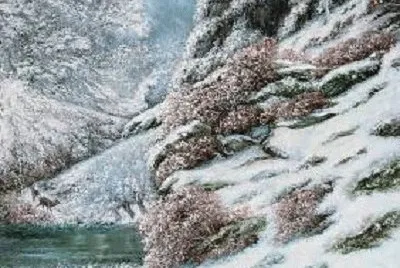177 jigsaw puzzle