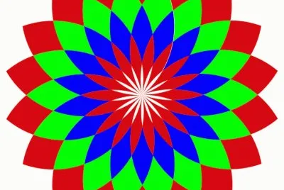 Petal Flower