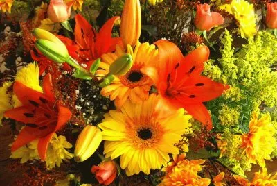 פאזל של Flors