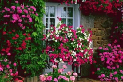 Farm house jigsaw puzzle