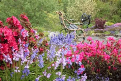 Dreamers Corner - Secret Garden