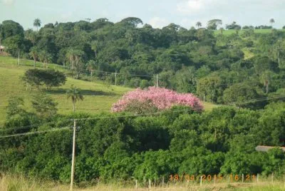 Bela Natureza
