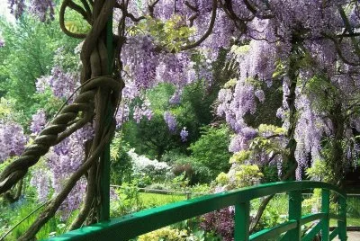 pont