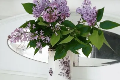 Lilacs jigsaw puzzle