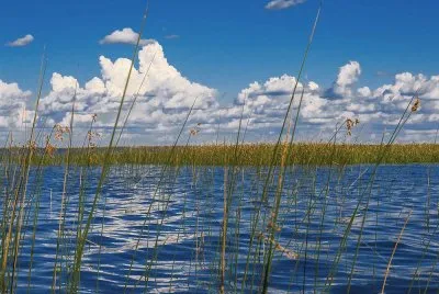 Esteros del IberÃ¡. Corrientes. Argentina