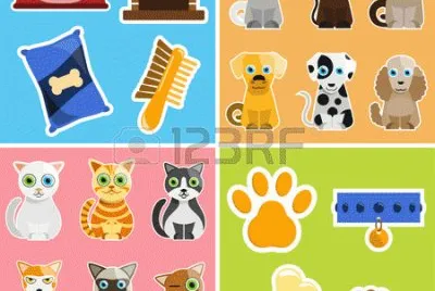gatos