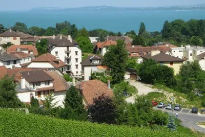 פאזל של village