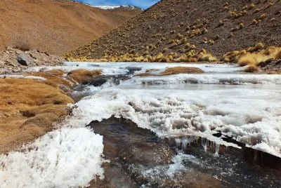 Antofagasta de la Sierra. Catamarca. Argentina