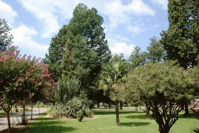 Plaza en Rueda. Santa Fe. Argentina