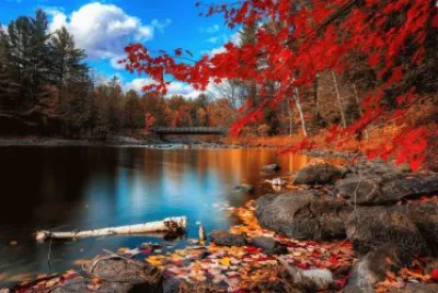 otoÃ±o