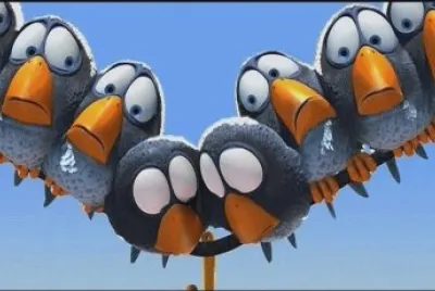 Birds jigsaw puzzle