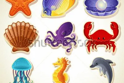 CORAL jigsaw puzzle