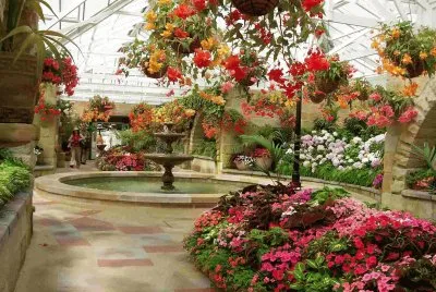 paisajes jigsaw puzzle