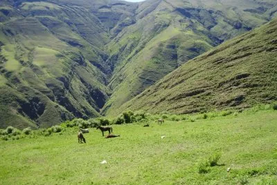 פאזל של En Santa Victoria. Salta. Argentina