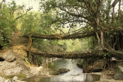 Cherrapunji. India