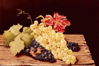 uvas
