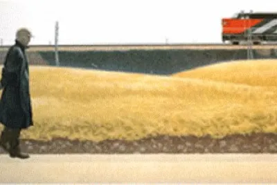 41