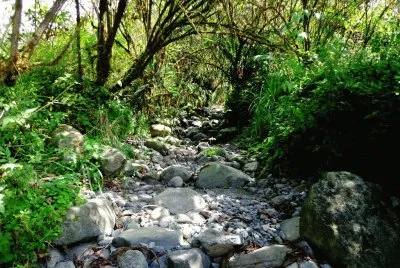 En la Provincia de TucumÃ¡n. Argentina