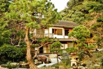 En un bosque de bambÃº. JapÃ³n