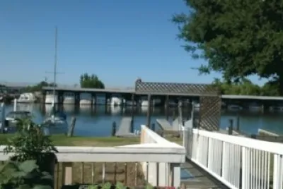 my back yard