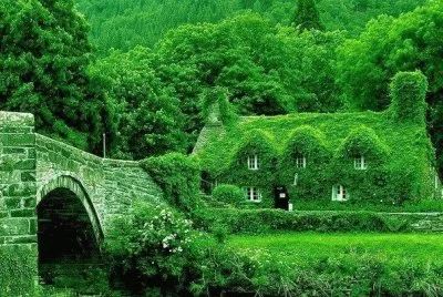verde