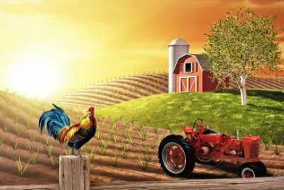 granja