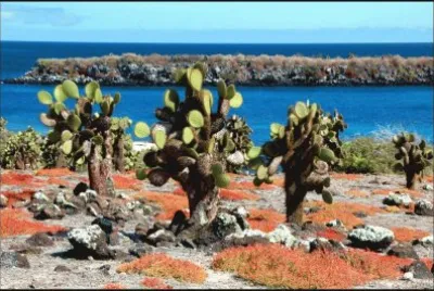 Islas GalÃ¡pagos. Ecuador
