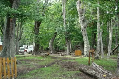 Lapataia. Tierra del Fuego. Argentina