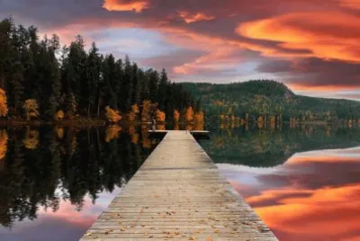 Natureza jigsaw puzzle