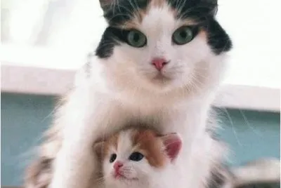 mom#178