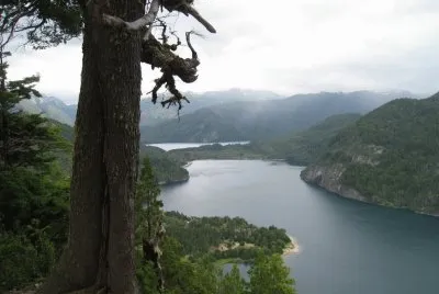 PN Los Alerces. Chubut. Argentina jigsaw puzzle