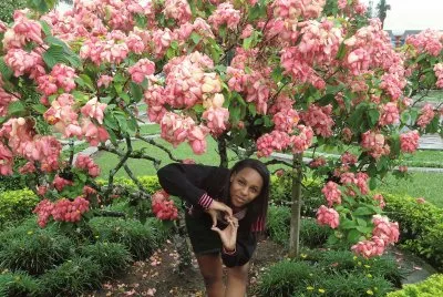 beatriz costa jigsaw puzzle