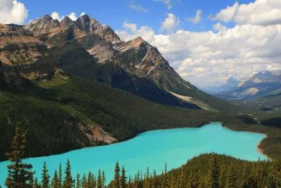 Lago Peyto. CanadÃ¡ jigsaw puzzle