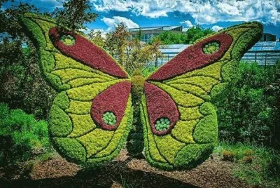 mariposa jigsaw puzzle