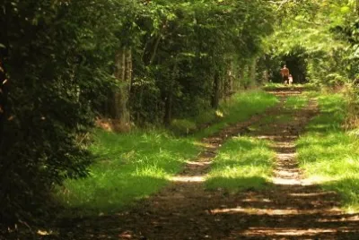 Cerca de San Miguel del Monte. Buenos Aires. Argentina