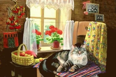 gato