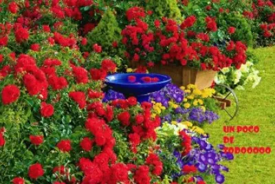 פאזל של flores