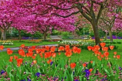 פאזל של jardim