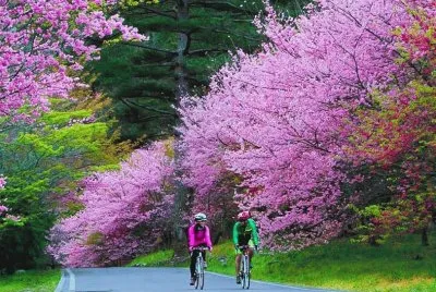 פאזל של passeio