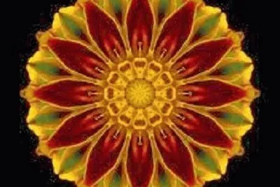 mandala jigsaw puzzle
