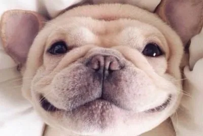 Hola