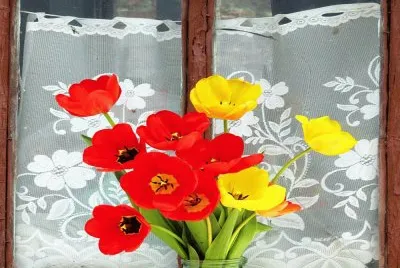 bodegÃ³n y flores