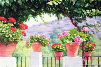 פאזל של Parra y geranios