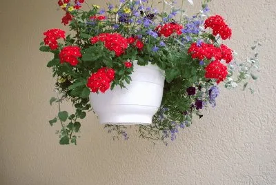 Blumen