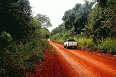 En la RN 101. Misiones. Argentina