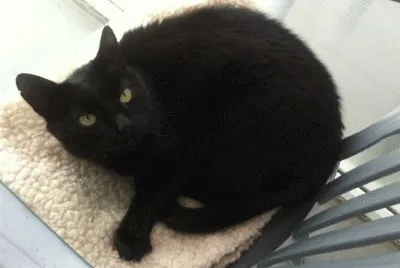Binks