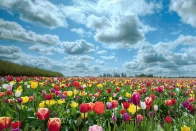 פאזל של Paisatje